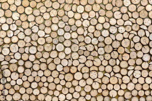 Wood texture background made of stacked wood logs