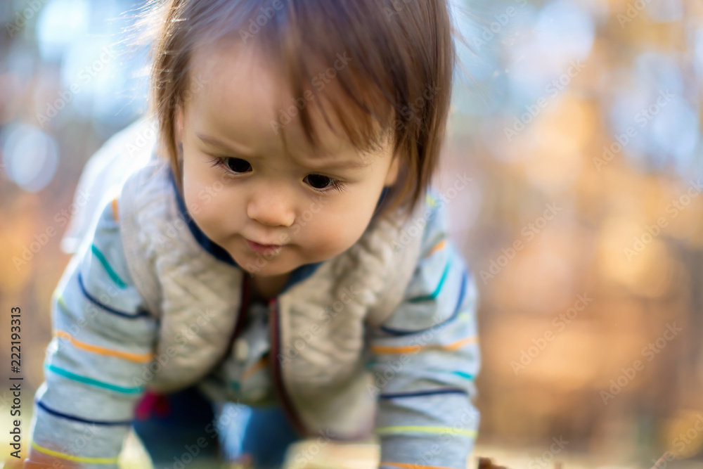 Toddler boy playing outside in the autumn Toddler boy playing outside in the autumn