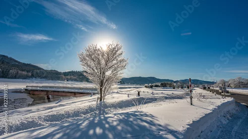 Obraz Drzewo śnieg krajobraz górski widok