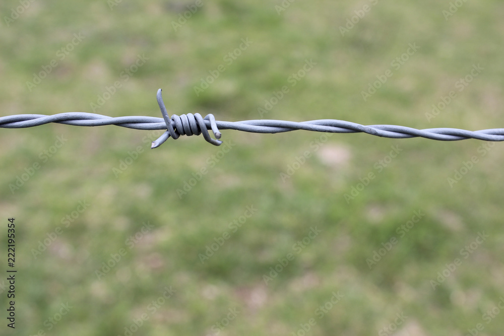 Barb wire fence
