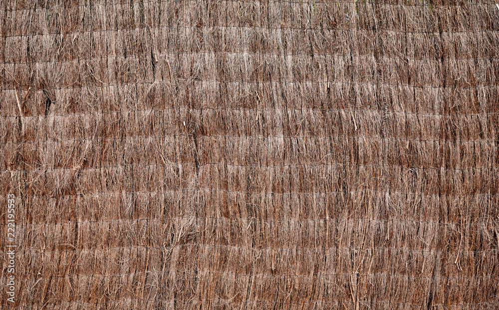 Fence made of dried plants, natural background or texture. Fence made of dried plants, natural background or texture.