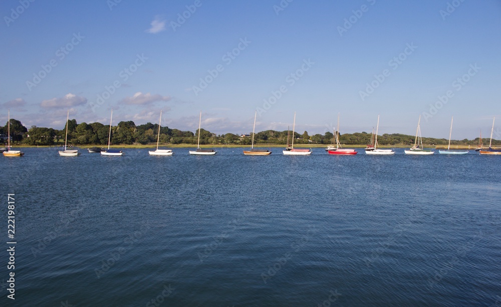 Line of Moored Sailboats with Shoreline in Background