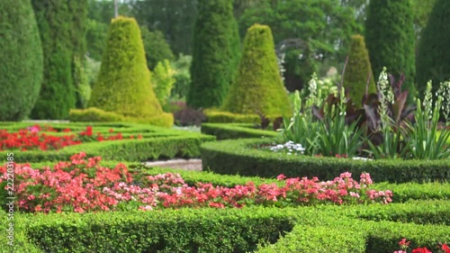 beautiful garden at home