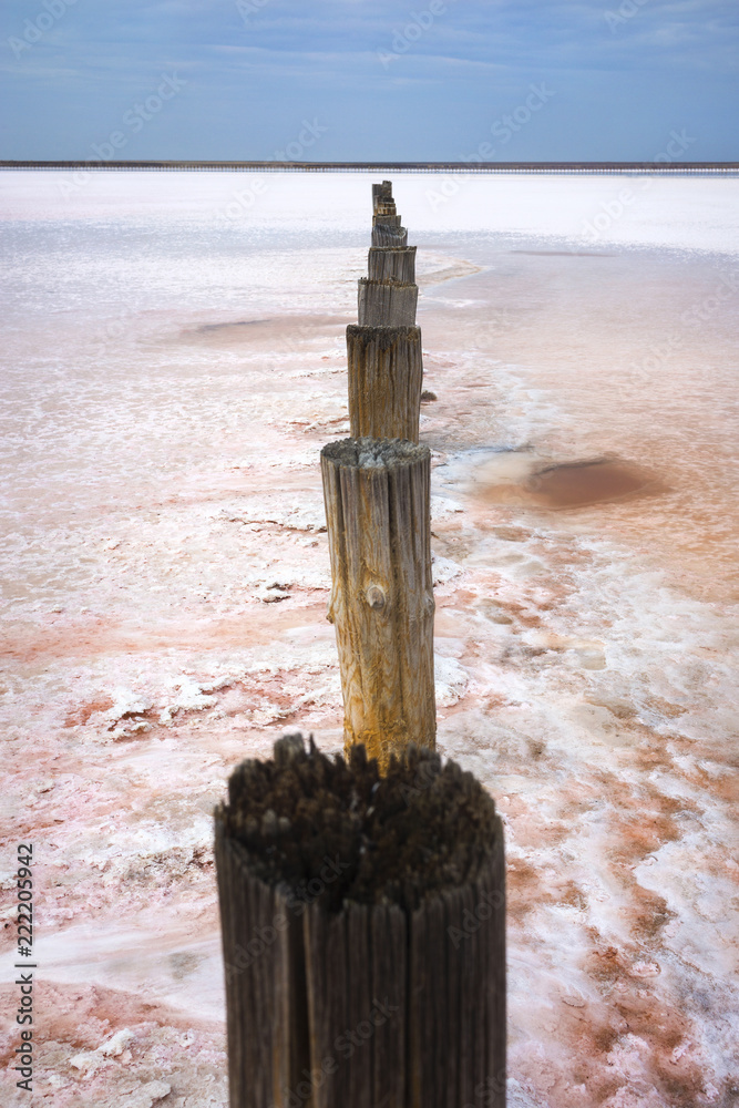 column from old wooden trunks on the red salt lake in Ukraine column from old wooden trunks on the red salt lake in Ukraine
