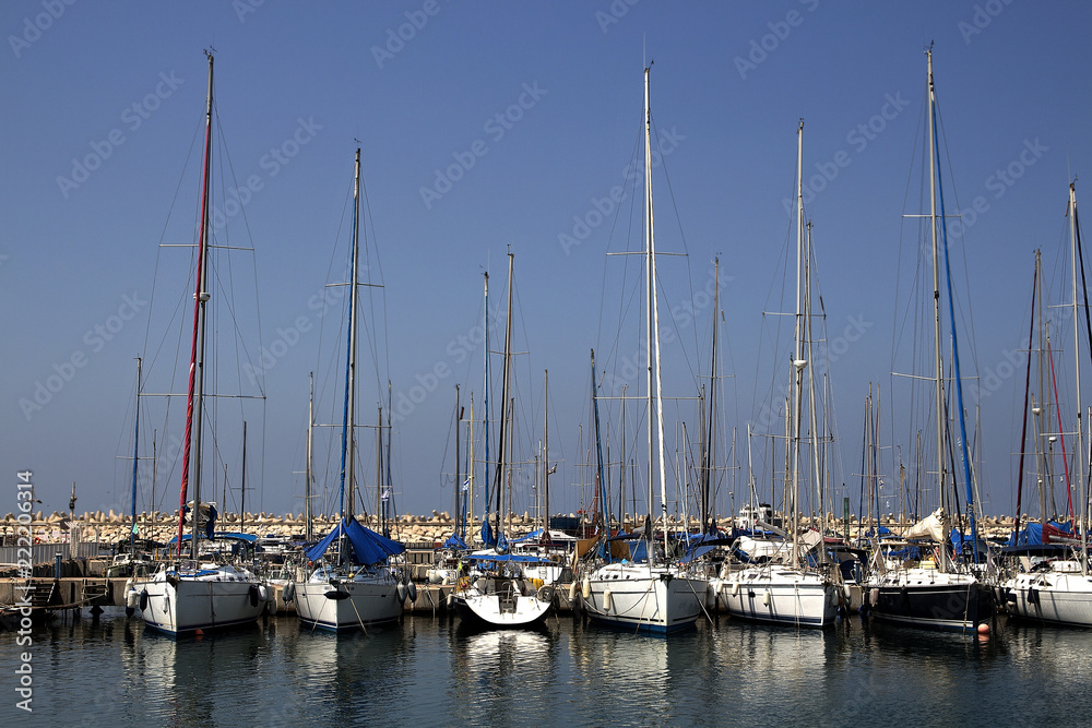 Yachts and boats in the port by the sea