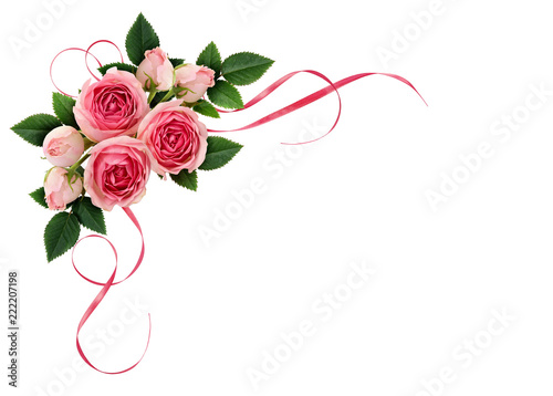 Pink rose flowers and waved...