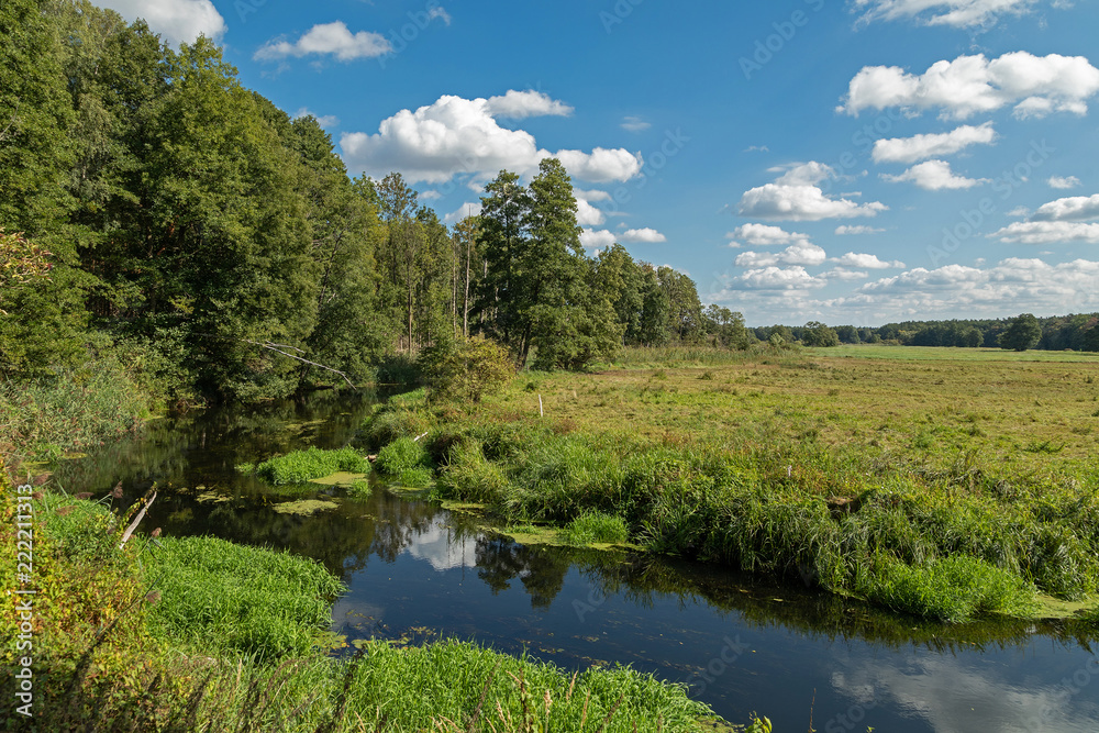 River in a forest