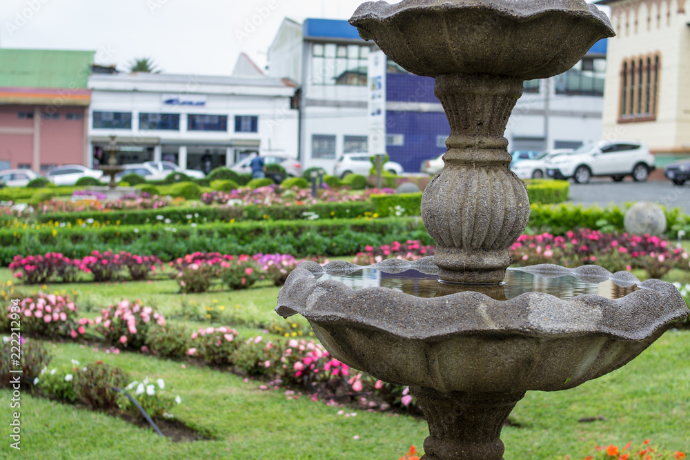 Obraz premium a fountain in the middle of the garden