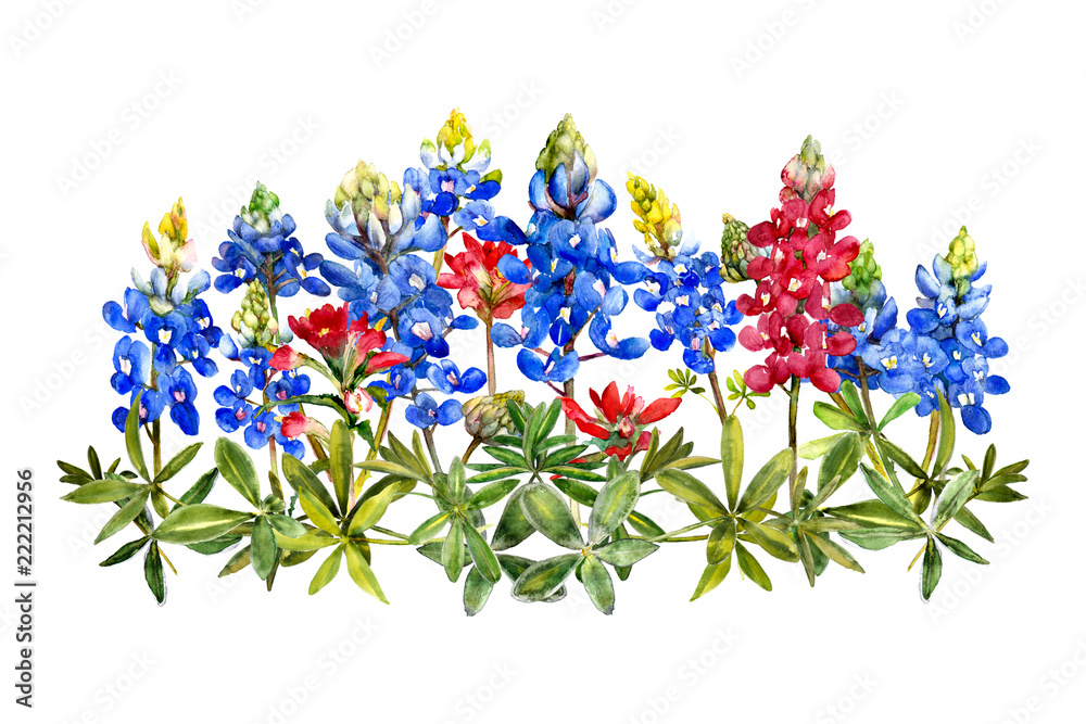 watercolor wildflower bunch Stock Illustration Adobe Stock