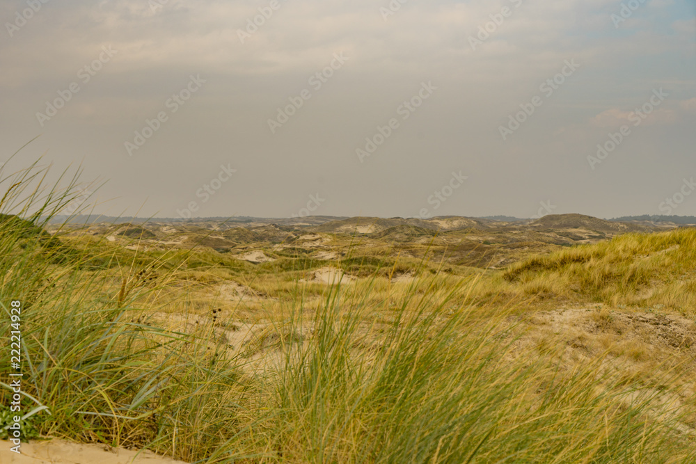 Obraz premium Zaandvort Dune View in North Holland