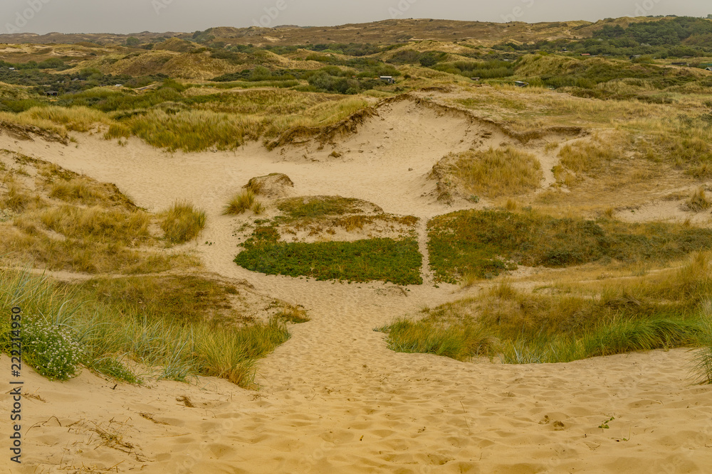 Zandvoort dune in North Holland Zandvoort dune in North Holland