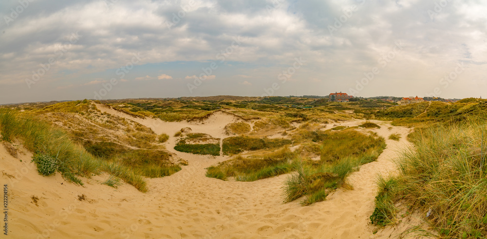 Zaandvort Panorama Dune View in North Holland