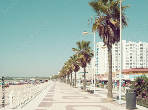 Imagen minimalista vintage colorida de paseo marítimo con palmeras en un día con cielo azul despejado 