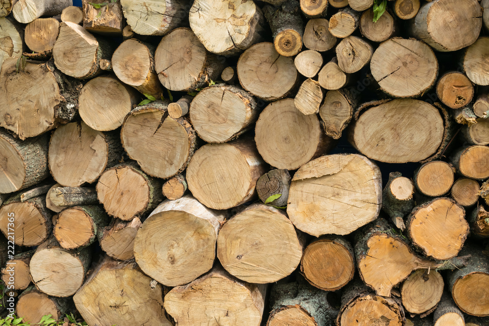 Stocking up of firewood. Pile of round wood logs ready for winter , Stack of firewood. Spruce wood background Stocking up of firewood. Pile of round wood logs ready for winter , Stack of firewood. Spruce wood background