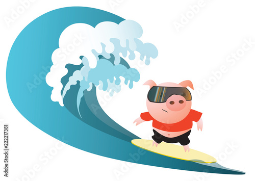 Photography Pig  surfer with sunglasses