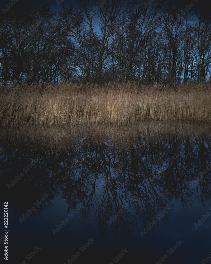 Fototapeta premium Teich mit Schilf im Herbst