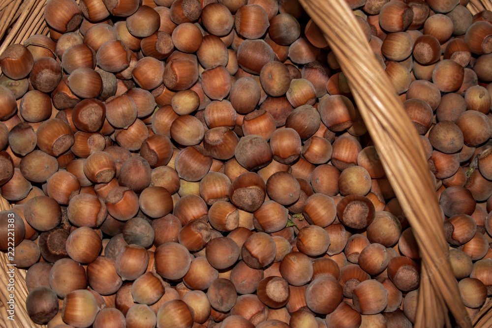 large group of hazelnut in wicker basket large group of hazelnut in wicker basket