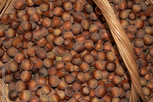 large group of hazelnut in wicker basket