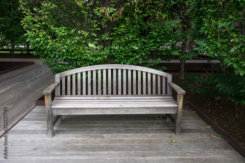 Fototapeta Naklejka Na Ścianę i Meble -  bench in a park