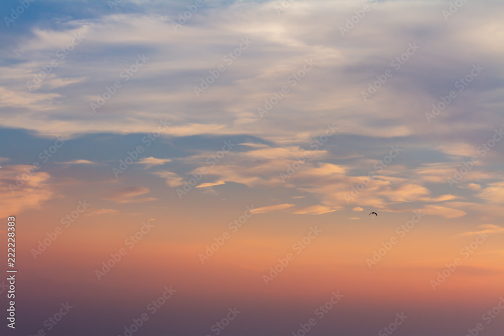 夕景 夕景