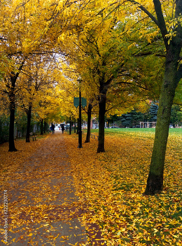Autumn in the city