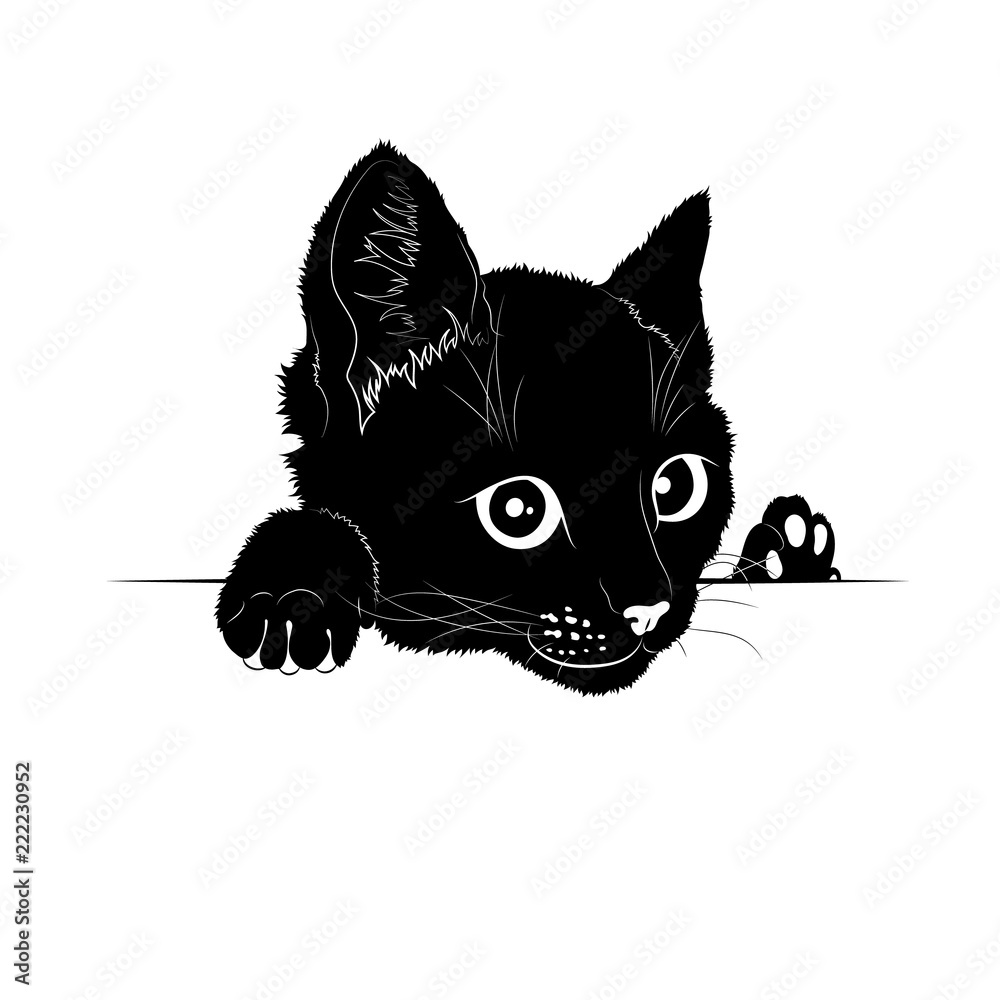 Векторный рисунок. Чёрный силуэт выглядывающей кошки Stock Vector | Adobe  Stock