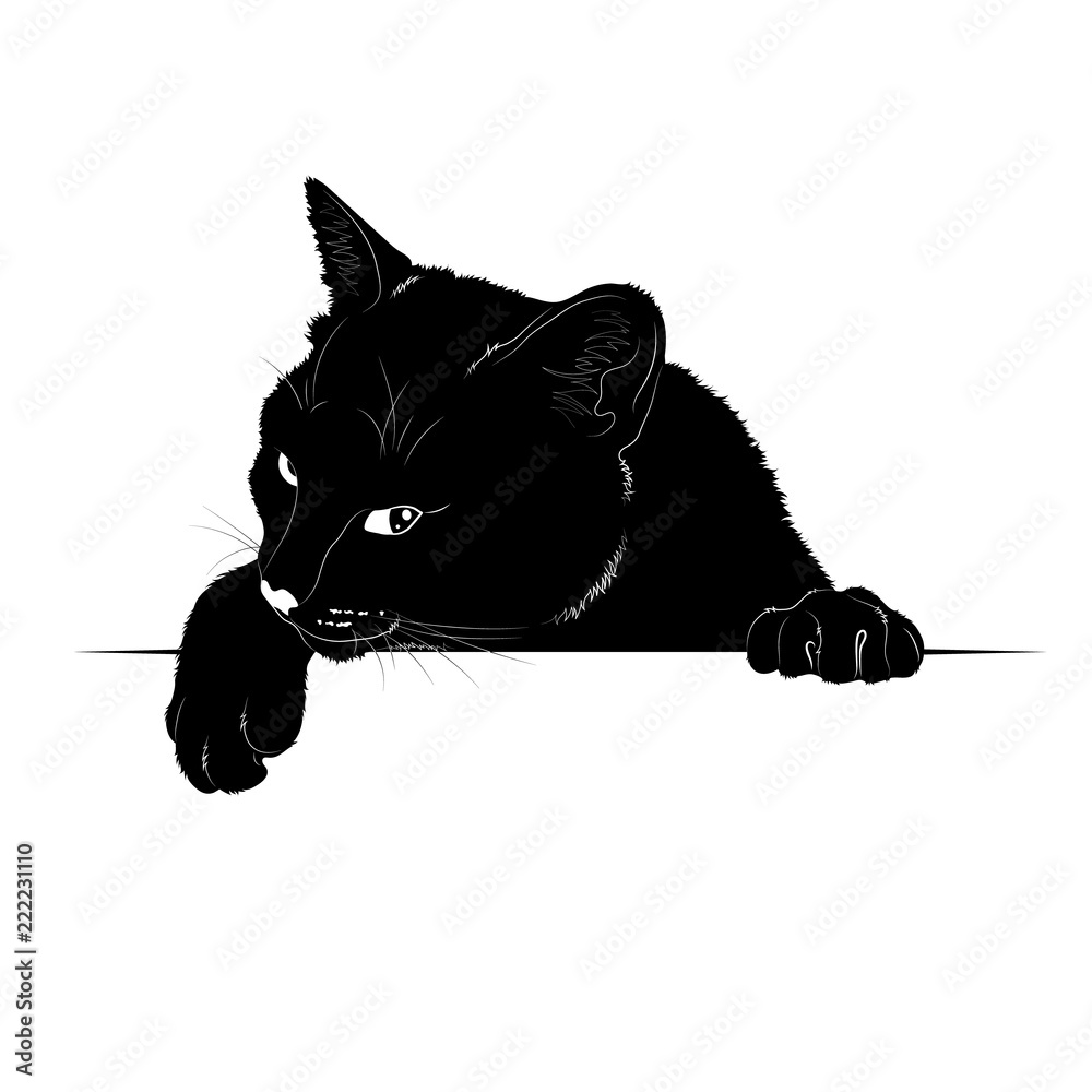Векторный рисунок. Чёрный силуэт выглядывающей кошки Stock-Vektorgrafik |  Adobe Stock