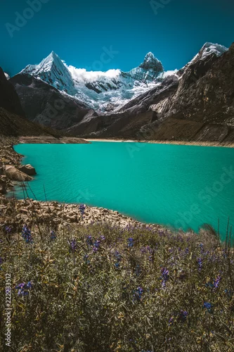 Obraz Piramida Gacilazo, Chacraraju, kwiaty