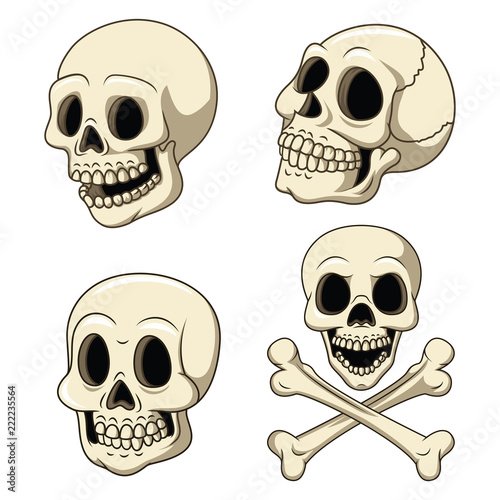 Human skull collection set isolated on white background