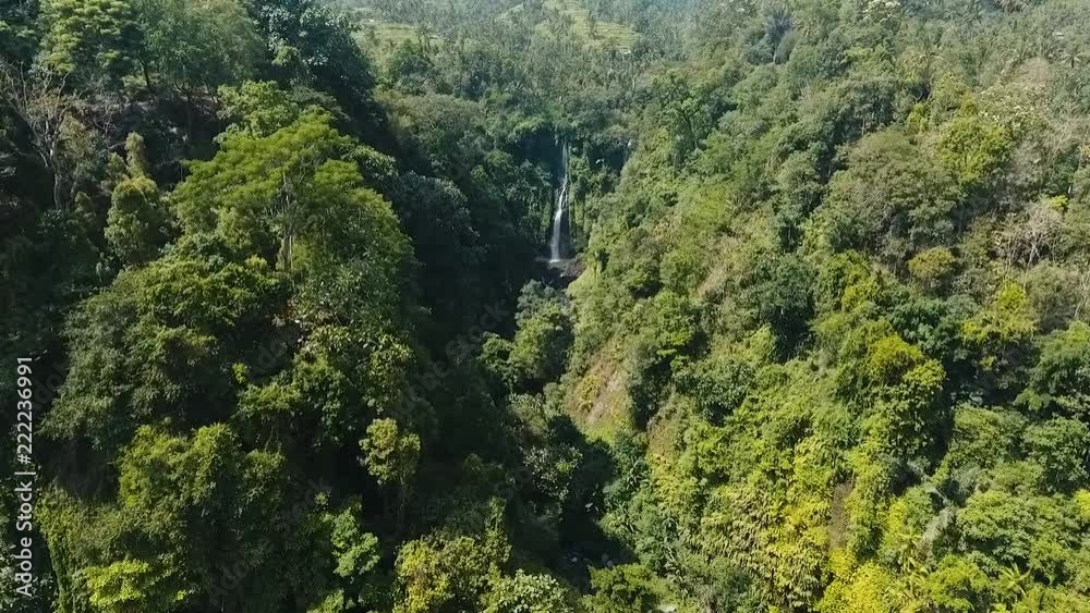Waterfall in green rainforest. Aerial view of landscape forest, waterfall Sekumpul in the mountain jungle. Bali,Indonesia. Travel concept. Aerial footage. Waterfall in green rainforest. Aerial view of landscape forest, waterfall Sekumpul in the mountain jungle. Bali,Indonesia. Travel concept. Aerial footage.