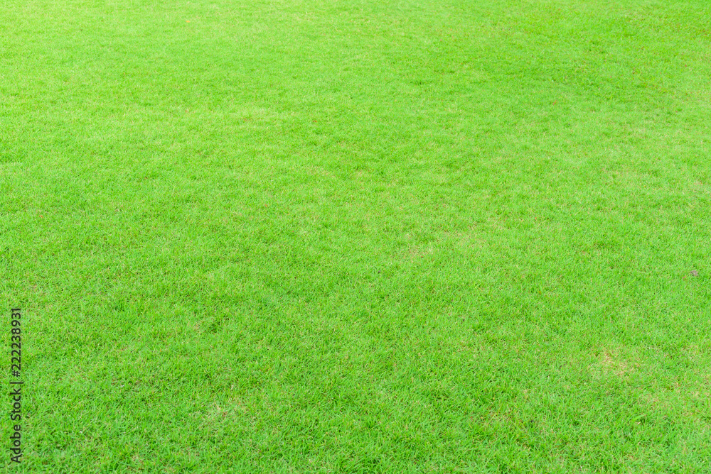 Naklejka zielona trawa na polu publicznego parku