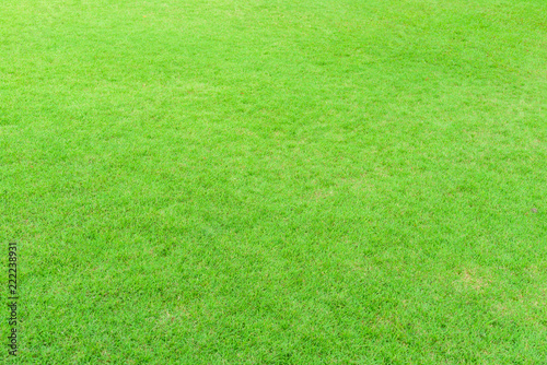green grass on Field of public park