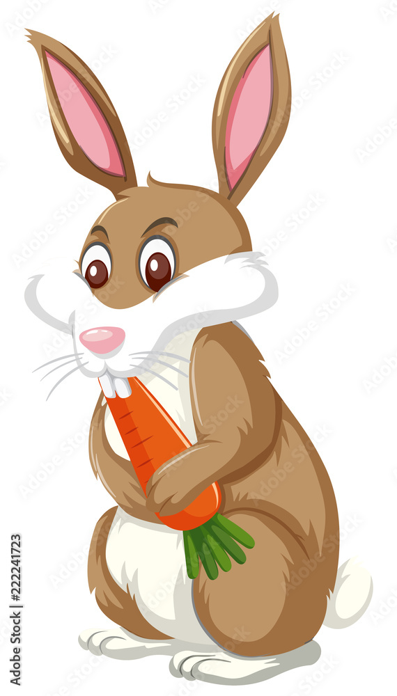 Obraz premium A rabbit eating carrot