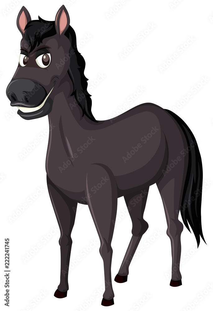 Fototapeta premium A black horse on white background