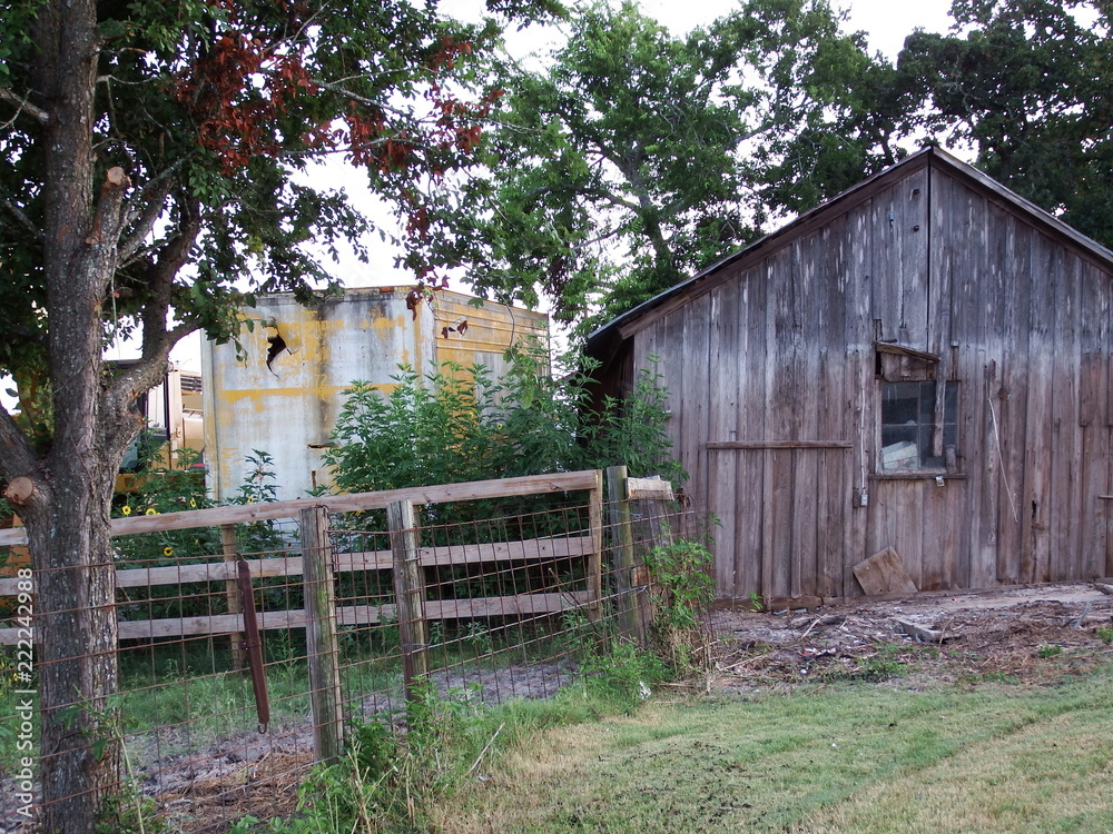 Shed Shed