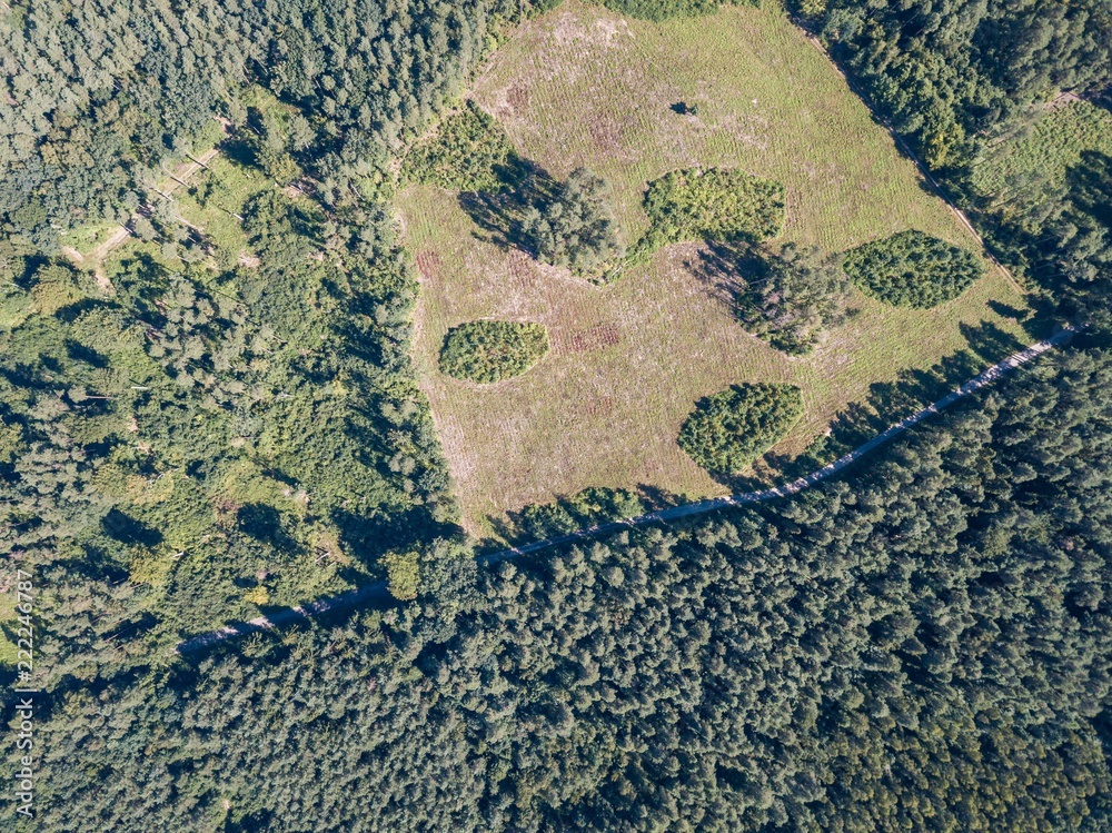 Forest seen from above. Beautiful drone landscape. Forest seen from above. Beautiful drone landscape.
