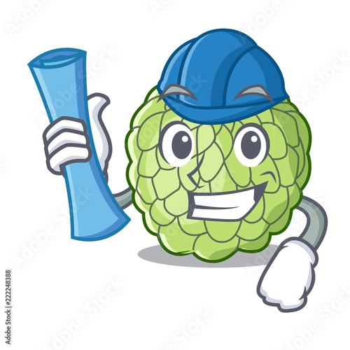 Architect character custard apple tropical fruit delicious