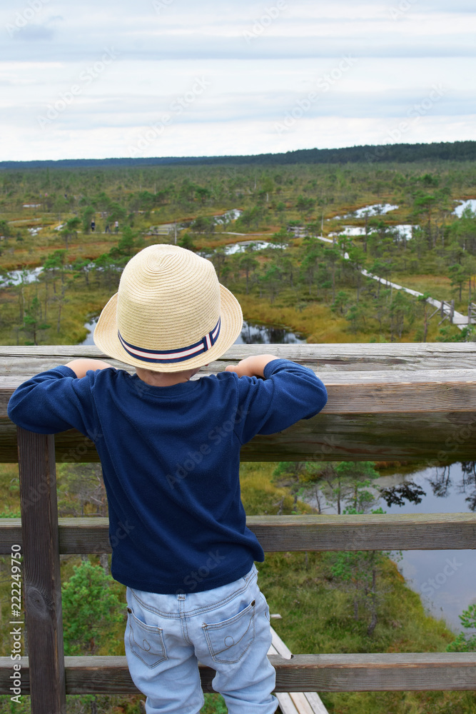 Little boy in straw hat looking forward horizon and beautiful moorland landscape with pine trees and ponds in kemeri national park Latvia summer 2018. Children educational outdoor activities concept.
