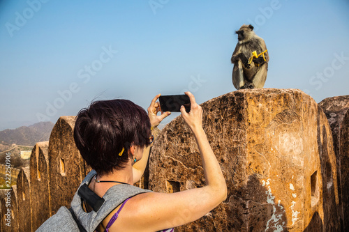 Photography Tourists photograph the monkey Langur