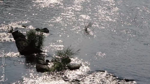 HD video footage showing water slowly flowing on a riverbed with rocks  and water plants in the way and sunlight reflects from its glittering surface