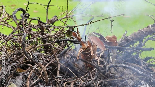 HD video clip footage showing woods, branches, and twigs are being burnt with a plume of smoke rising