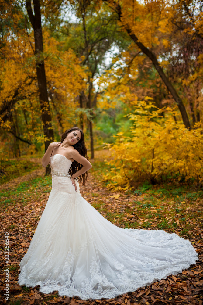 Attractive bride in luxury plume gown outdoor in autumn