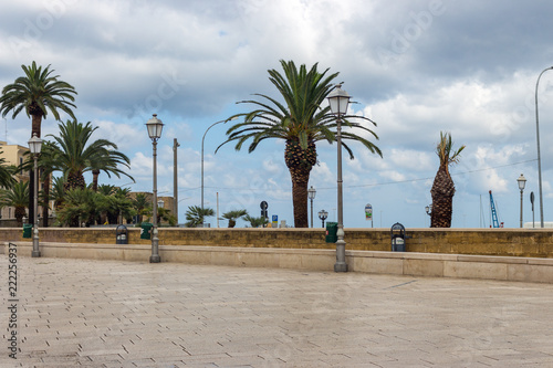 Fototapeta Naklejka Na Ścianę i Meble -  Empty square with palm trees and street lights in Bari, Italy. Italian architecture. Mediterranean landscape. Vacation and relaxation concept. Cloudy day on exotic resort.