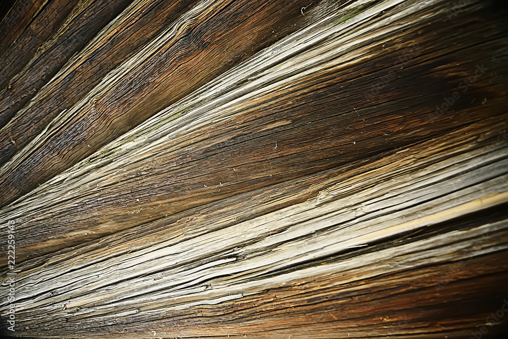 Fototapeta premium texture background old logs/abstract gray nature background;