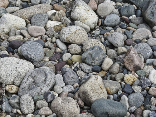 Natural texture - rounded pebbles on the river bank