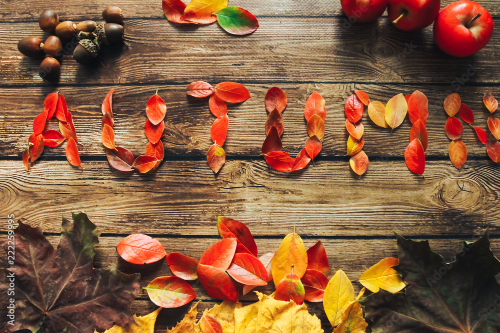 Red fall leaves in Autumn text, apple and nuts on wooden desk. Seasonal banner concept. Thanksgiving, harvest, title