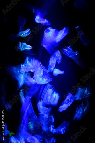 blue lights 3