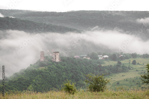 The beautiful view of nature and castle in the fog