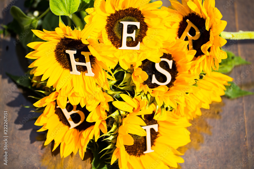 Sonnenblumen mit Buchstaben, Herbst, Text Sonnenblumen mit Buchstaben, Herbst, Text