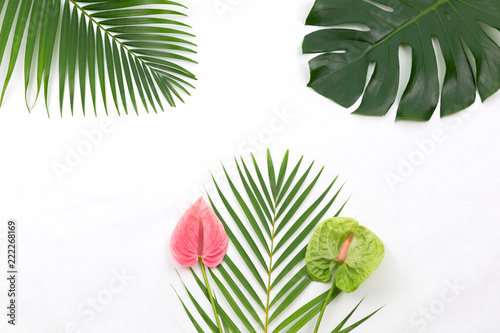 Fototapeta Naklejka Na Ścianę i Meble -  Palms and tropical flowers